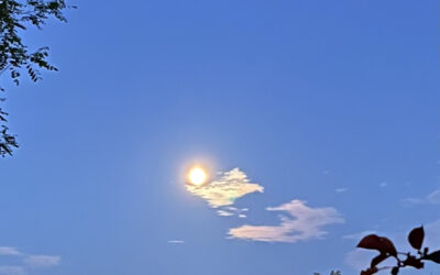 « LUNA DIVINA » – 18 septembre 2024 – Paris
