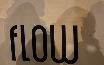 « FLOW » – 26 mars 2025 – Paris