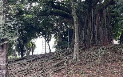 « Debout » – 22 octobre 2025 – Paris –