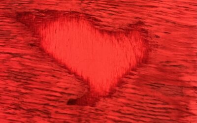 « United By Love » – 12 novembre 2025 – Paris –